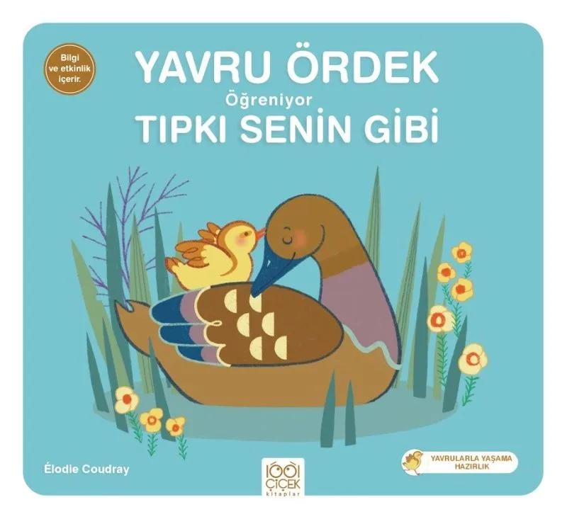 Yavru Ördek Öğreniyor Tıpkı Senin Gibi