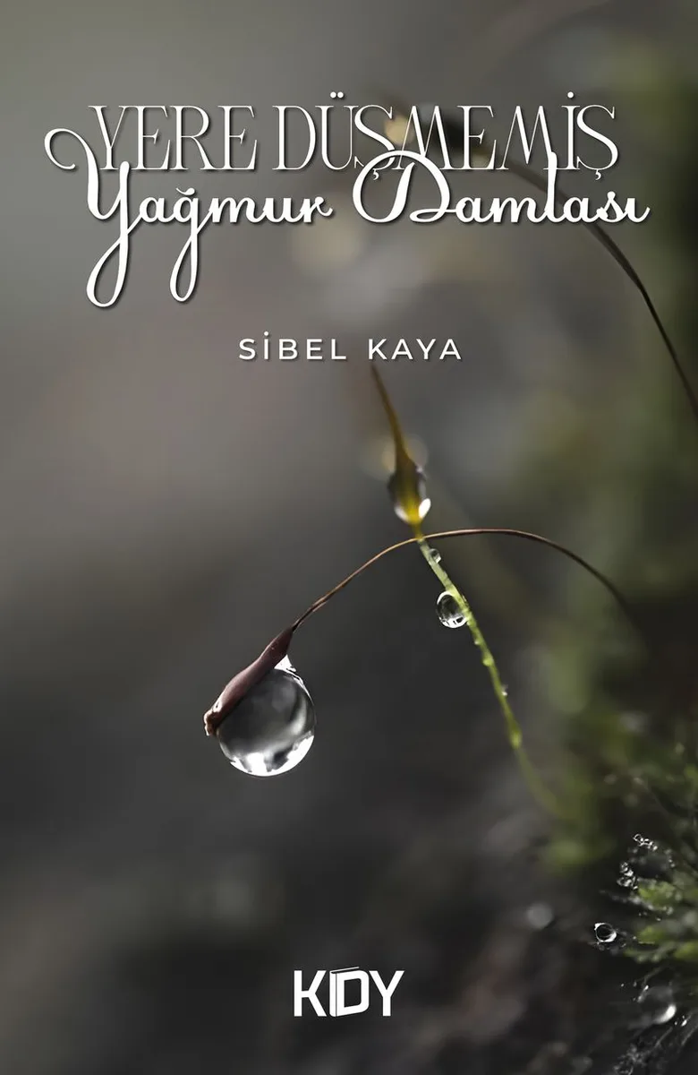 Yere Düşmemiş Yağmur Damlası