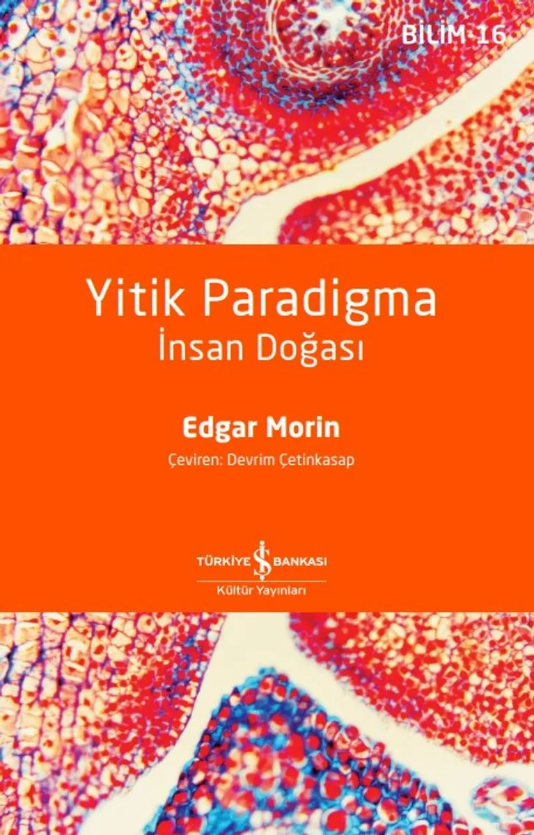 Yitik Paradigma İnsan Doğası