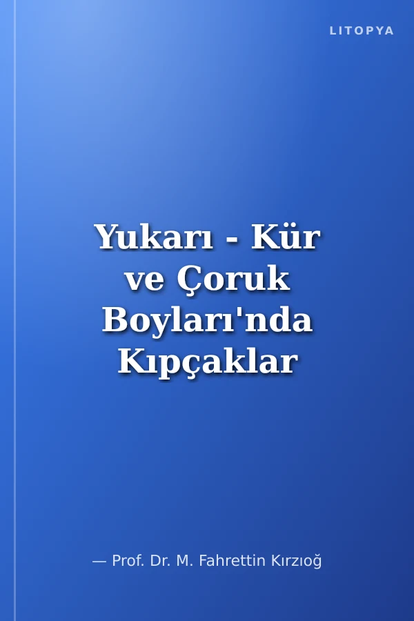 Yukarı - Kür ve Çoruk Boyları'nda Kıpçaklar