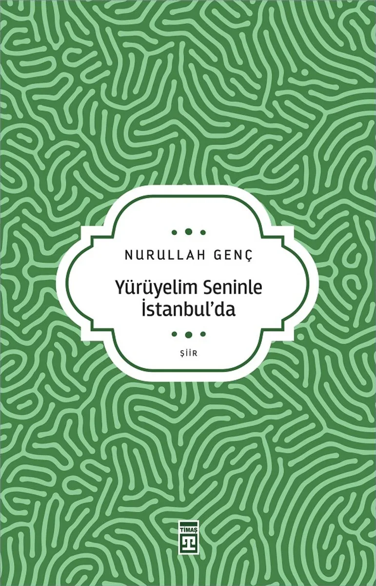 Yürüyelim Seninle İstanbul'da
