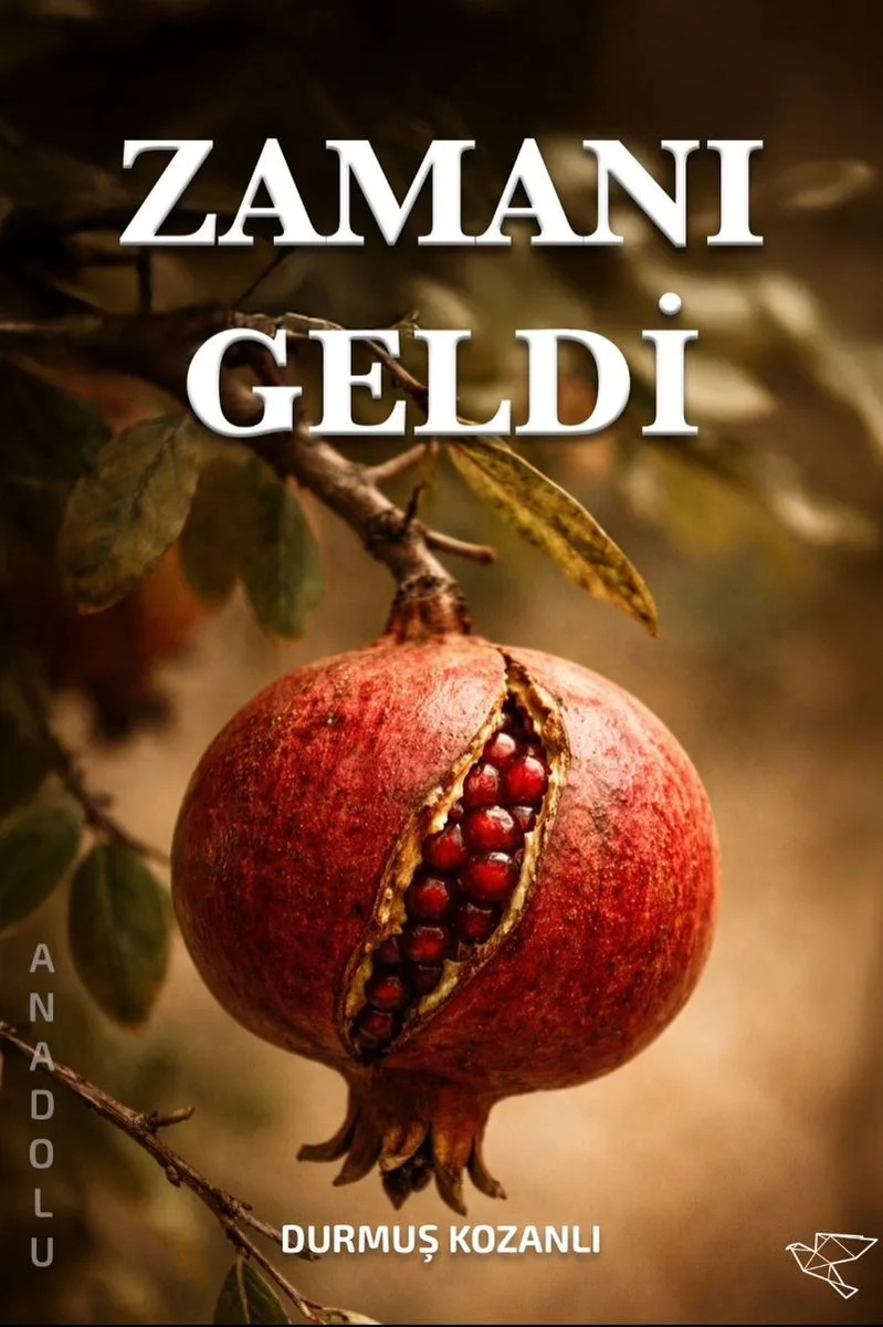 Zamanı Geldi