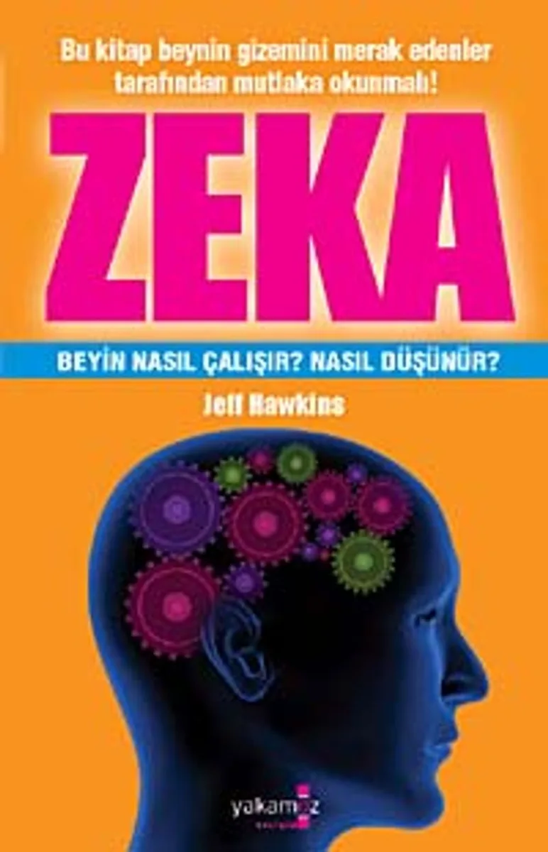 Zeka Beyin Nasıl Çalışır? Nasıl Düşünür?