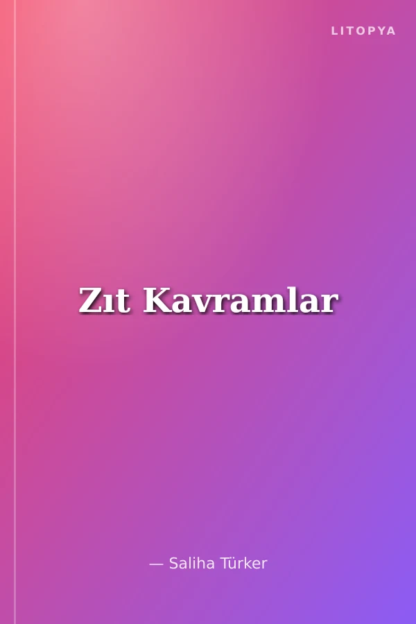 Zıt Kavramlar